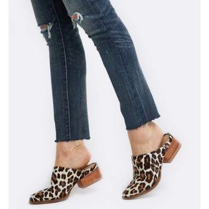 Able- Miriam Mule in Leopard Closed Toe Block Heel